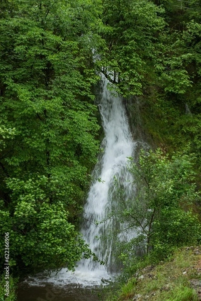 Obraz Waterfall