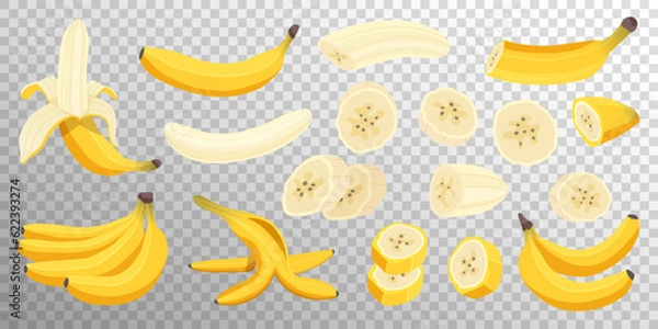 Fototapeta Set of fresh banana fruits isolated on transparent background. Peeled and whole bananas, banana slices and bunch of bananas. Tropical fruits, healthy nutrition menu. Vector flat cartoon illustration