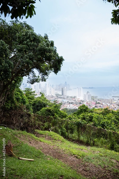 Obraz City through the forest