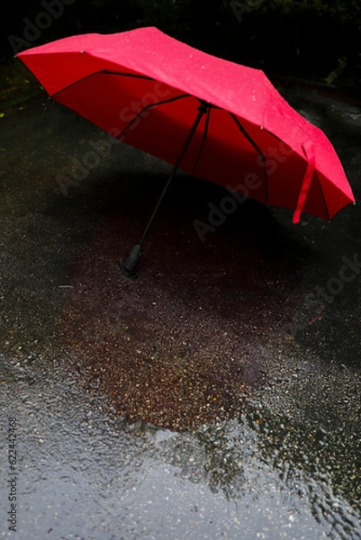 Obraz umbrella and rain