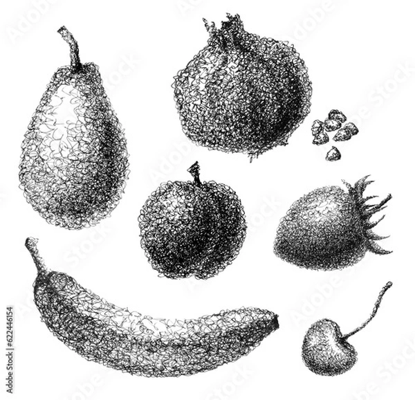 Obraz Fruit Set Ink Hand Drawing Illustration 