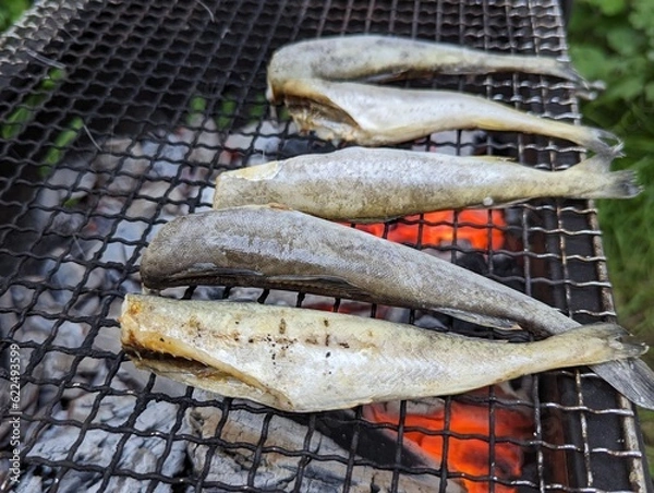 Obraz 炭火焼き 焼き魚 氷下魚 コマイ バーべキュー