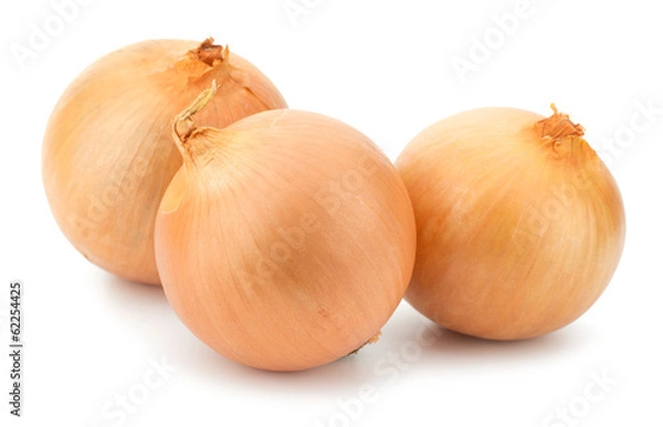 Obraz Onion vegetable bulbs isolated on white background