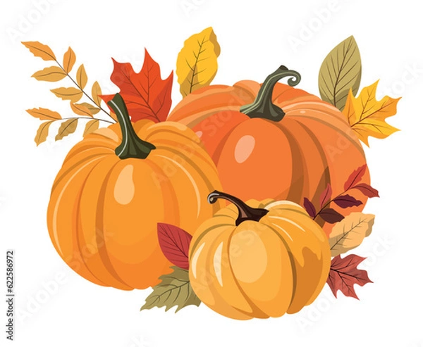 Obraz Colorful autumn pumpkins and forest leaves clipart. Vector illustration Isolated on white background. Seasonal harvest design for greeting or poster.