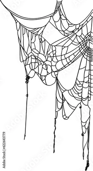 Fototapeta Halloween Scary Spider Web