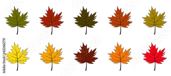 Fototapeta Autumn leaves vector set. Colorful and bright cartoon style. Maple leaves isolated on white background.