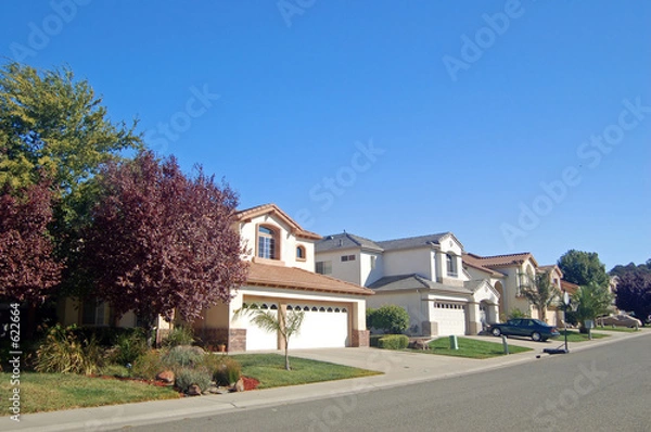 Fototapeta suburban houses