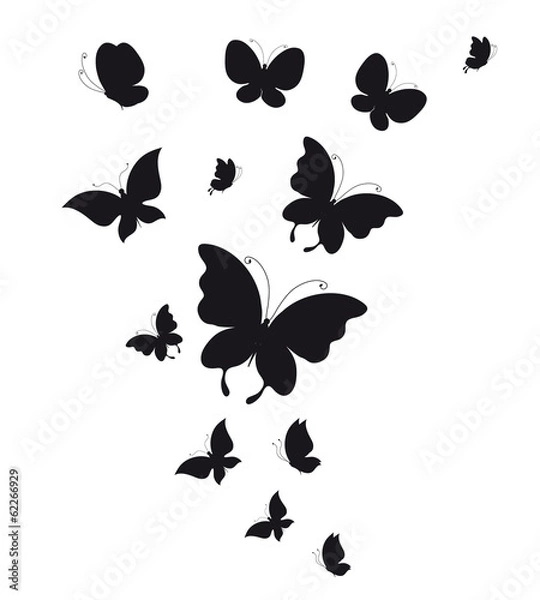 Obraz butterflies design