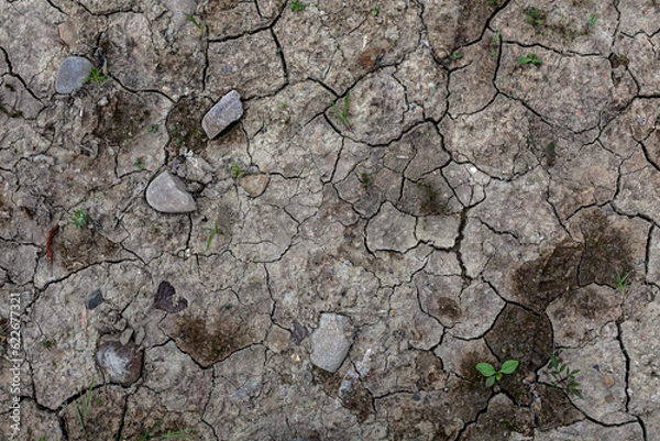 Obraz Dry and cracked soil background