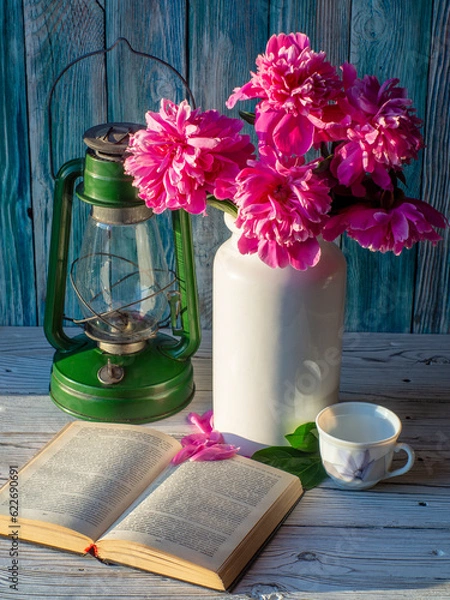 Fototapeta OLYMPUS DIGITAL CAMERA