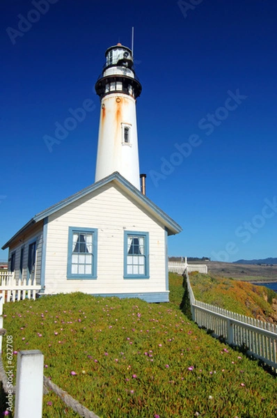 Obraz pigeon point lighthouse