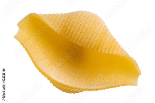 Obraz Włoski makaron Conchiglioni Giganti na białym tle