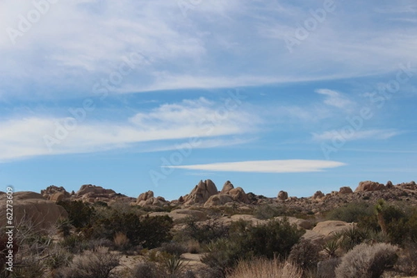 Fototapeta Joshua Tree National Park California Desert Landscape
