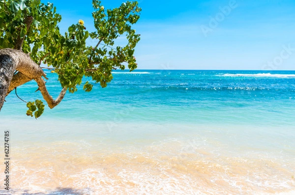 Fototapeta Tropical beach in Sri Lanka
