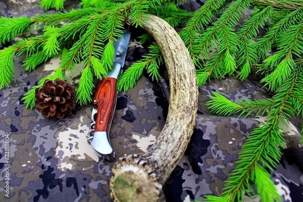 Fototapeta Equipment for outdoor travel on camouflage fabric with branches of coniferous trees