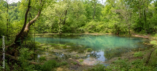 Obraz Missouri Spring