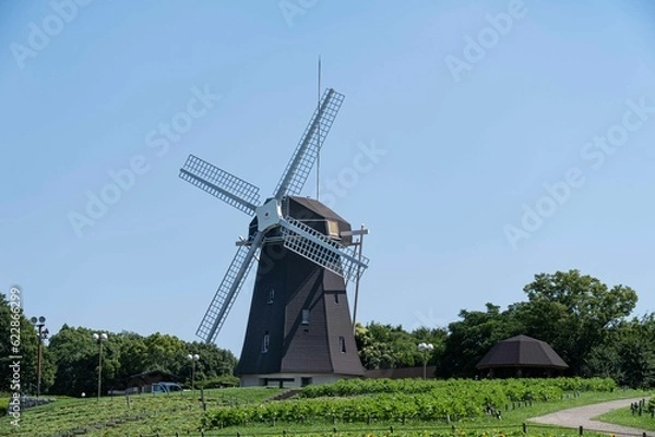 Fototapeta 鶴見緑地
