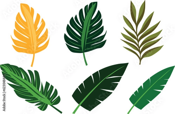 Fototapeta tropical leaves set vector illustration