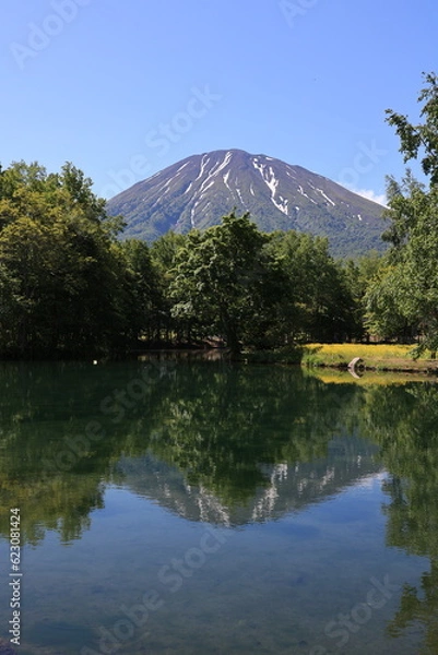 Fototapeta 倶知安町 池に映る鏡羊蹄山

