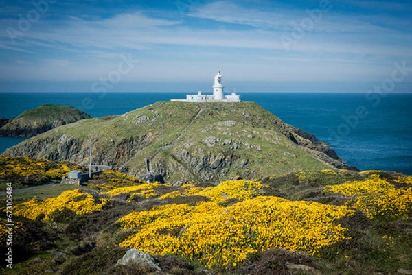 Obraz lighthouse on the coast