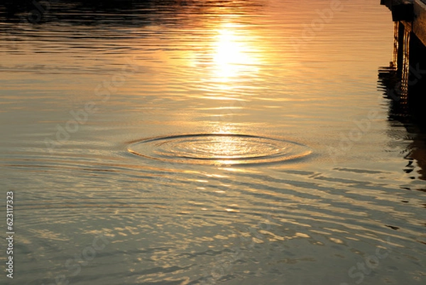 Obraz reflection in water