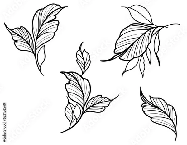 Fototapeta simple leaf and foliage decoration outline SVG vector