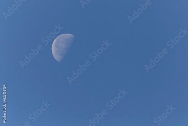 Fototapeta waning gibbous Moon in clear sky at day