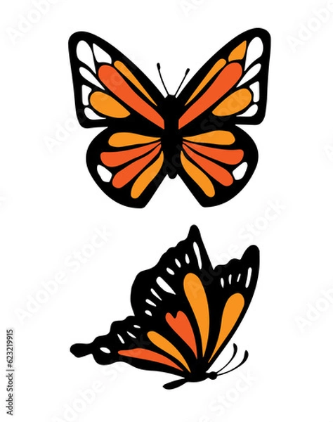 Obraz The monarch butterfly vector illustration