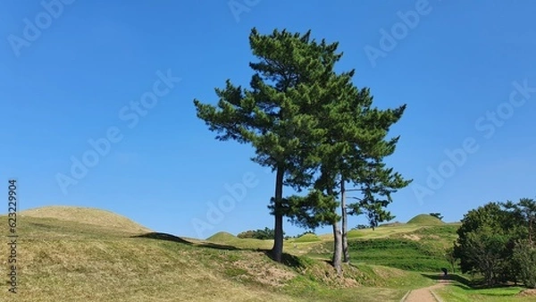 Fototapeta 한국의 도시 주변 풍경