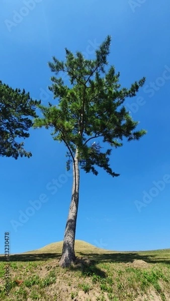 Fototapeta 한국의 도시 주변 풍경