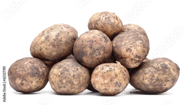 Fototapeta not washed potatoes