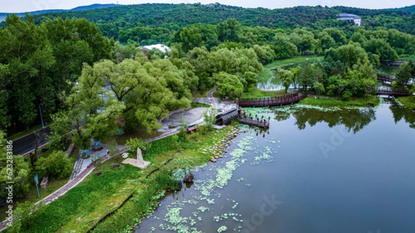 Fototapeta The scenery of Jingyuetan National Forest Park in Changchun, China in summer