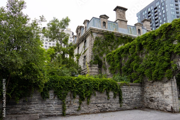 Fototapeta old stone jail covered in ivy with cobbled fence 