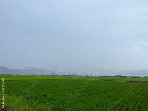 Obraz 220715田んぼ渋江

山形市渋江
田んぼ
曇り
