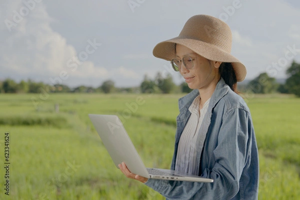 Obraz Young asian woman farmer using laptop computer in cultivated paddy field in sunrise, modern technology application in agricultural growing activity