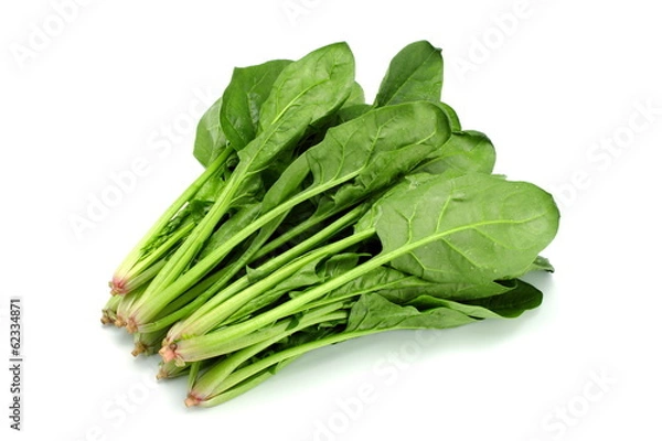 Obraz ほうれん草