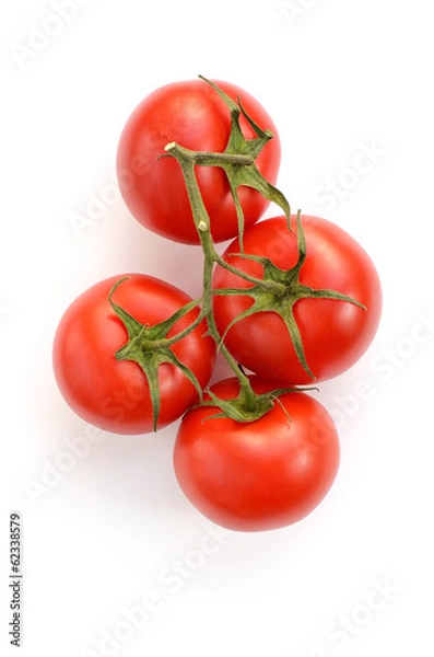 Obraz Tomaten isoliert