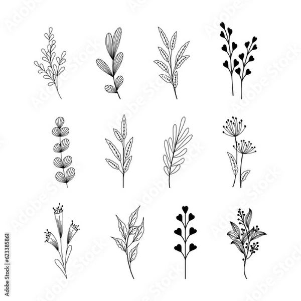 Fototapeta Set of branch and leaves collection. Floral hand drawn vintage set. Sketch line art illustration. Element design for greeting cards and invitations of the wedding, birthday