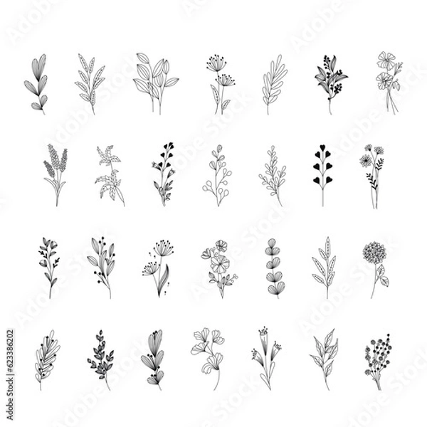 Fototapeta Set of branch and leaves collection. Floral hand drawn vintage set. Element design for greeting cards and invitations of the wedding, birthday