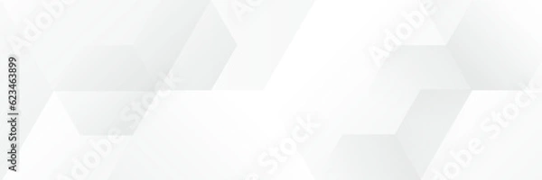 Obraz Abstract white Geometric banner design background.