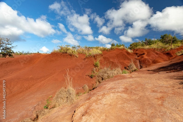 Obraz Waimea Canyon Wasserfall