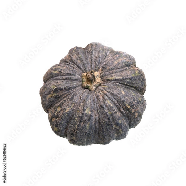 Obraz pumpkin isolated on white background