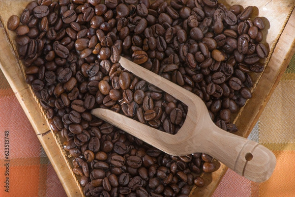 Obraz coffee beans in a cup