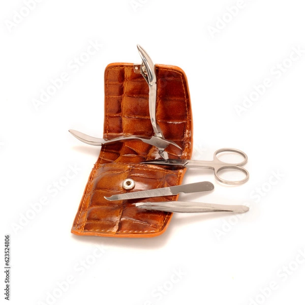 Obraz manicure set;
