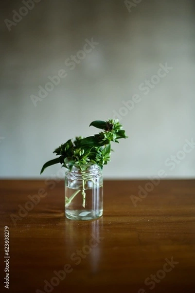 Fototapeta 小瓶に生けたアベリアの小枝