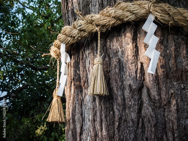 Obraz 神社のしめ縄