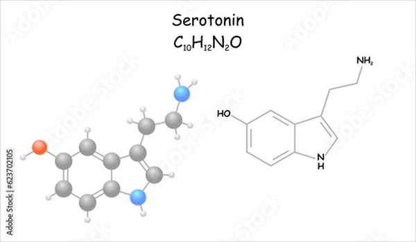 Fototapeta Stylized molecule model/structural formula of the neurotransmitter hormone serotonin.