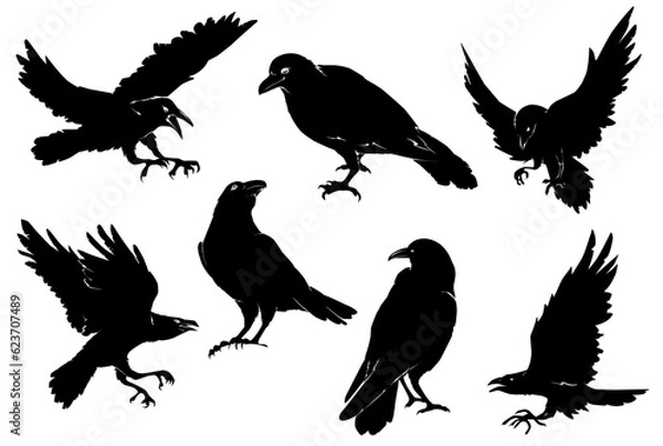 Obraz crows