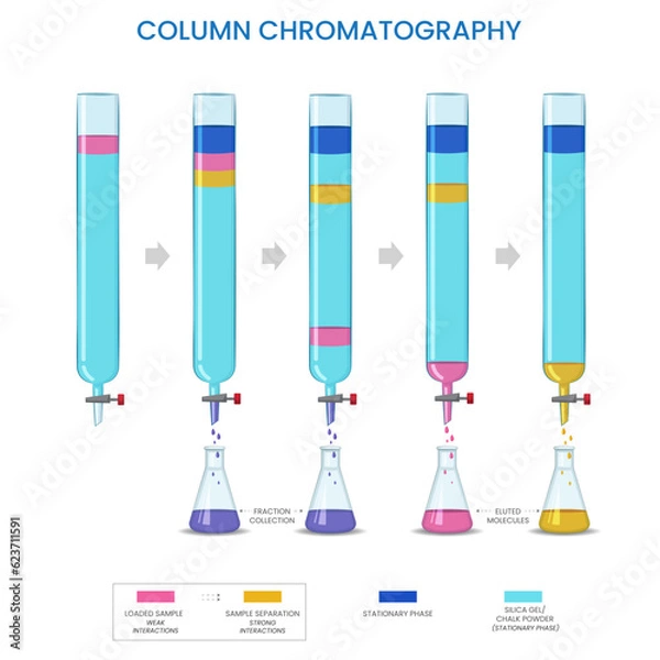 Fototapeta Column chromatography is a technique used to separate and purify different components of a mixture based on their differential interactions with a stationary phase and a mobile phase