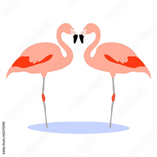 Fototapeta Couple Chilean flamingo characters. Phoenicopterus chilensis isolated on white background. Bird in love who stood up in the shape of a heart. Valentine's Day. Vector illustration.
